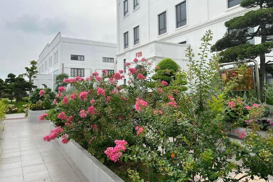 Hoa mùa hè 10 https://demo.cnctech.vn/wp-content/uploads/2023/06/Hoa-mua-he-10-e1687493445429.jpg