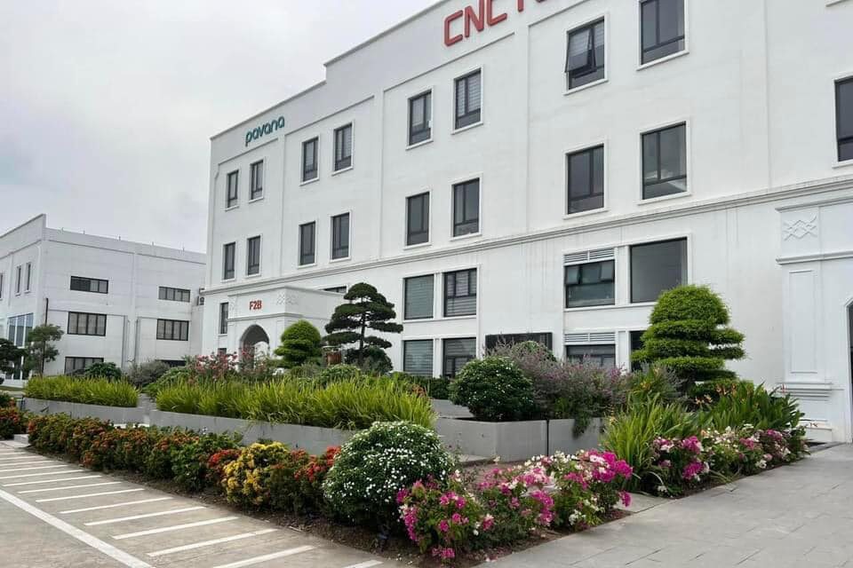 Hoa mùa hè 2 https://demo.cnctech.vn/wp-content/uploads/2023/06/Hoa-mua-he-2-e1687488424430.jpg