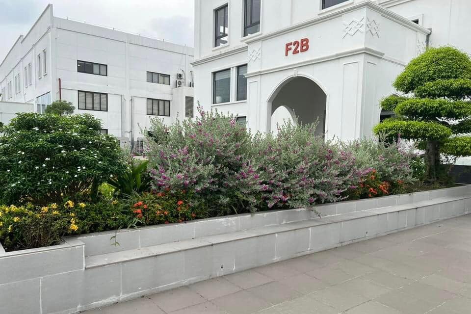 Hoa mùa hè 4 https://demo.cnctech.vn/wp-content/uploads/2023/06/Hoa-mua-he-4-e1687493570492.jpg